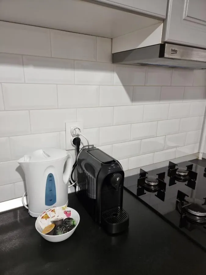 Aviatiei Apartments Near Caramfil Street ブカレスト